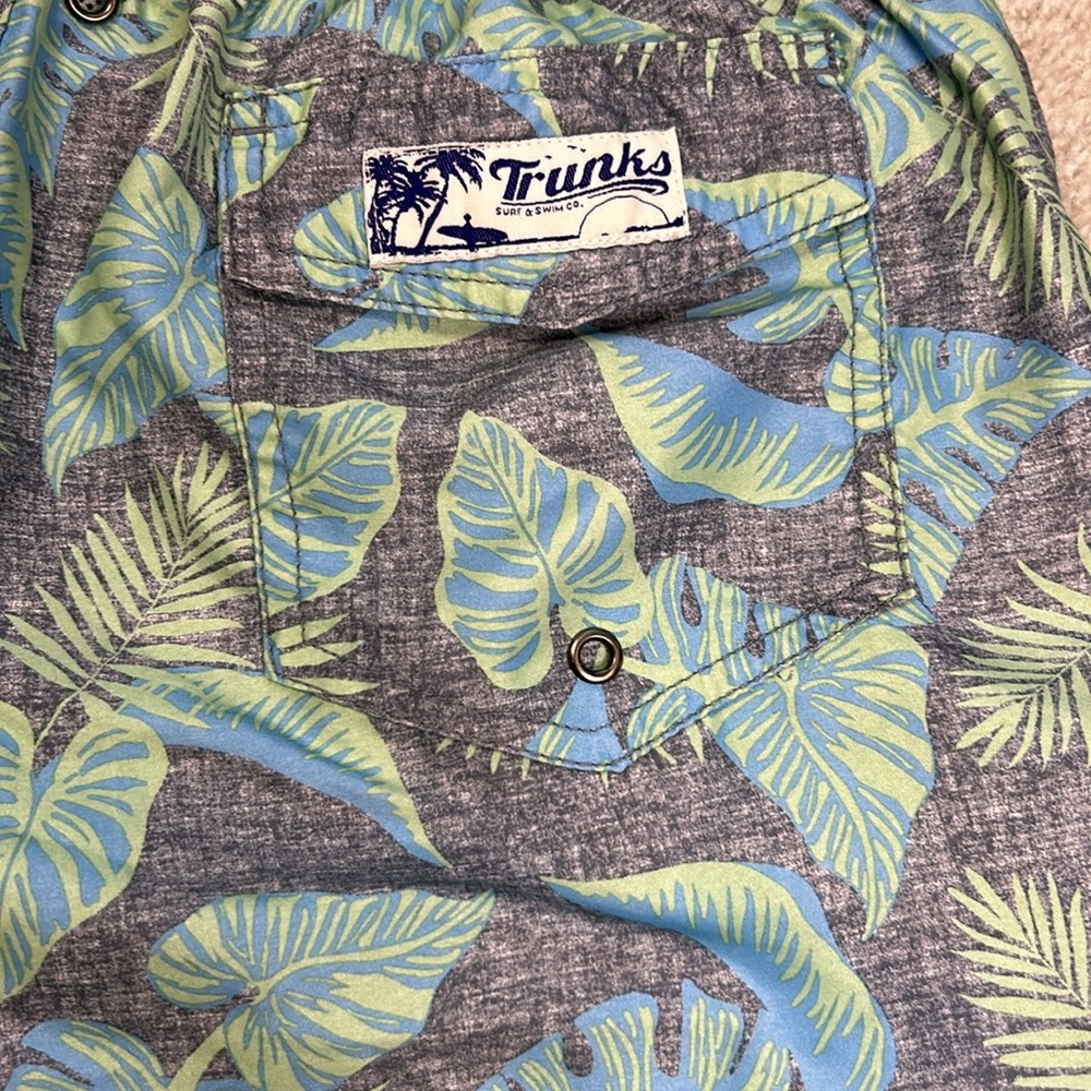 Trunks Swim Trunks - Picture 7 of 7